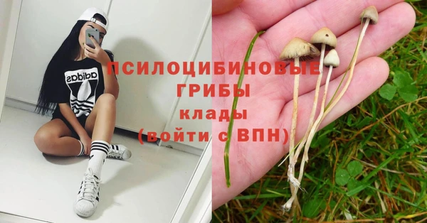 spice Баксан